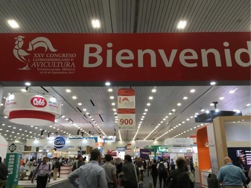 Bienvenido Congreso Latinoamericano de Avicultura